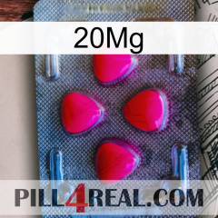 20Mg 13